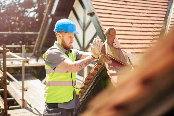Roof Gutter Cleaning in Rowland Heights, CA